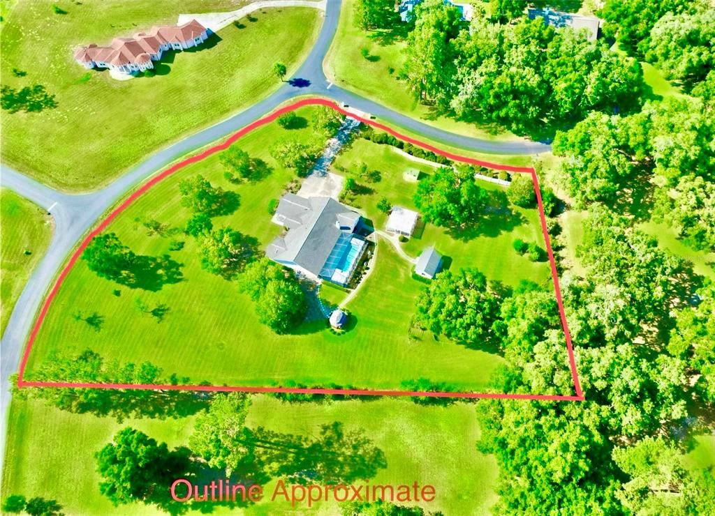 7205 Northeast 61st Ave Road Silver Springs, FL 34488 - Photo 6 of 64 a garden with a lot of plants and flowers