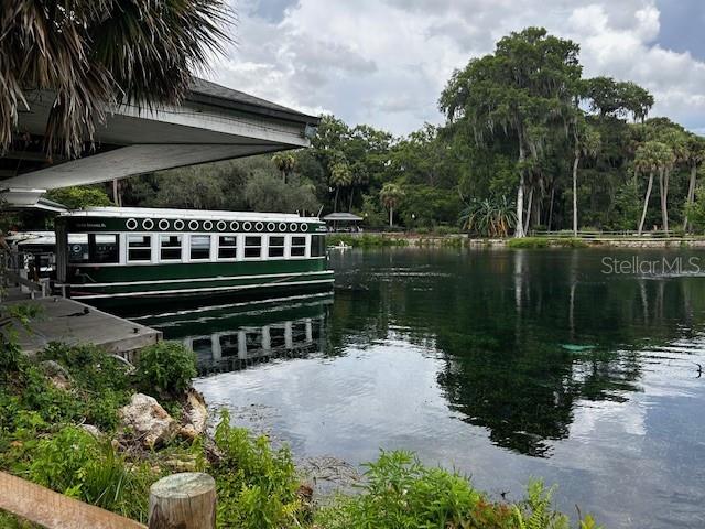 7205 Northeast 61st Ave Road Silver Springs, FL 34488 - Photo 63 of 64