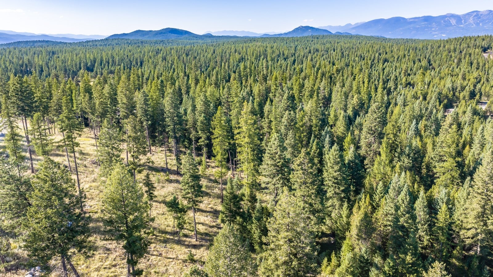 365 Layton Road Whitefish, MT 59937 - Photo 10 of 27 Gallery Image 10