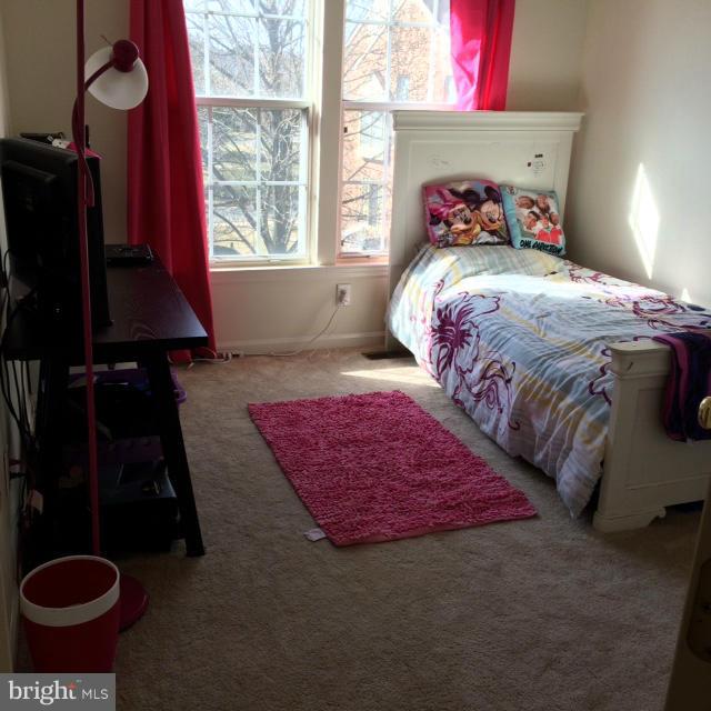 14073 Winding Ridge Lane Centreville, VA 20121 - Photo 21 of 29 Bedroom #3
