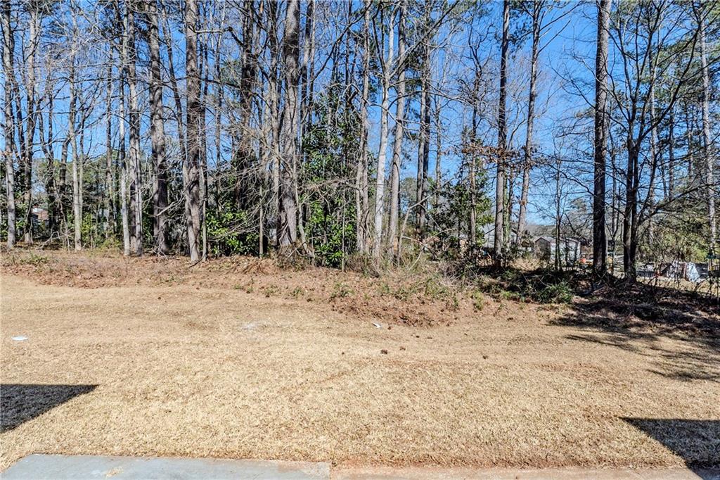 2419 Leslie Brook Drive Decatur, GA 30035 - Photo 22 of 25