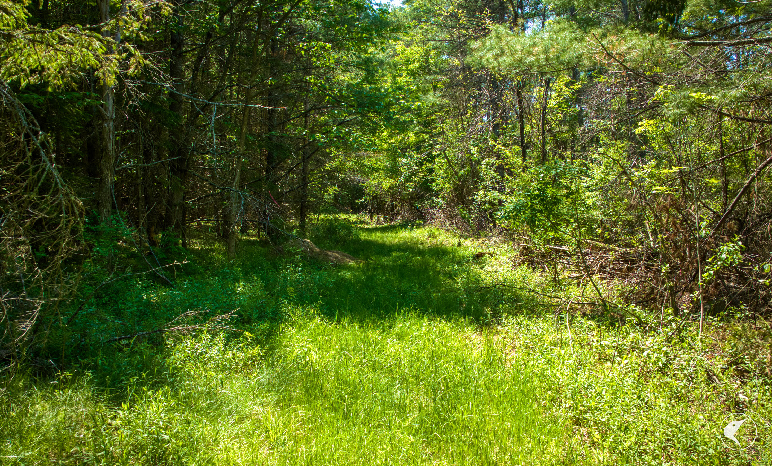 571 Stickney Bridge Road Jay, NY 12941 - Photo 5 of 6 0840