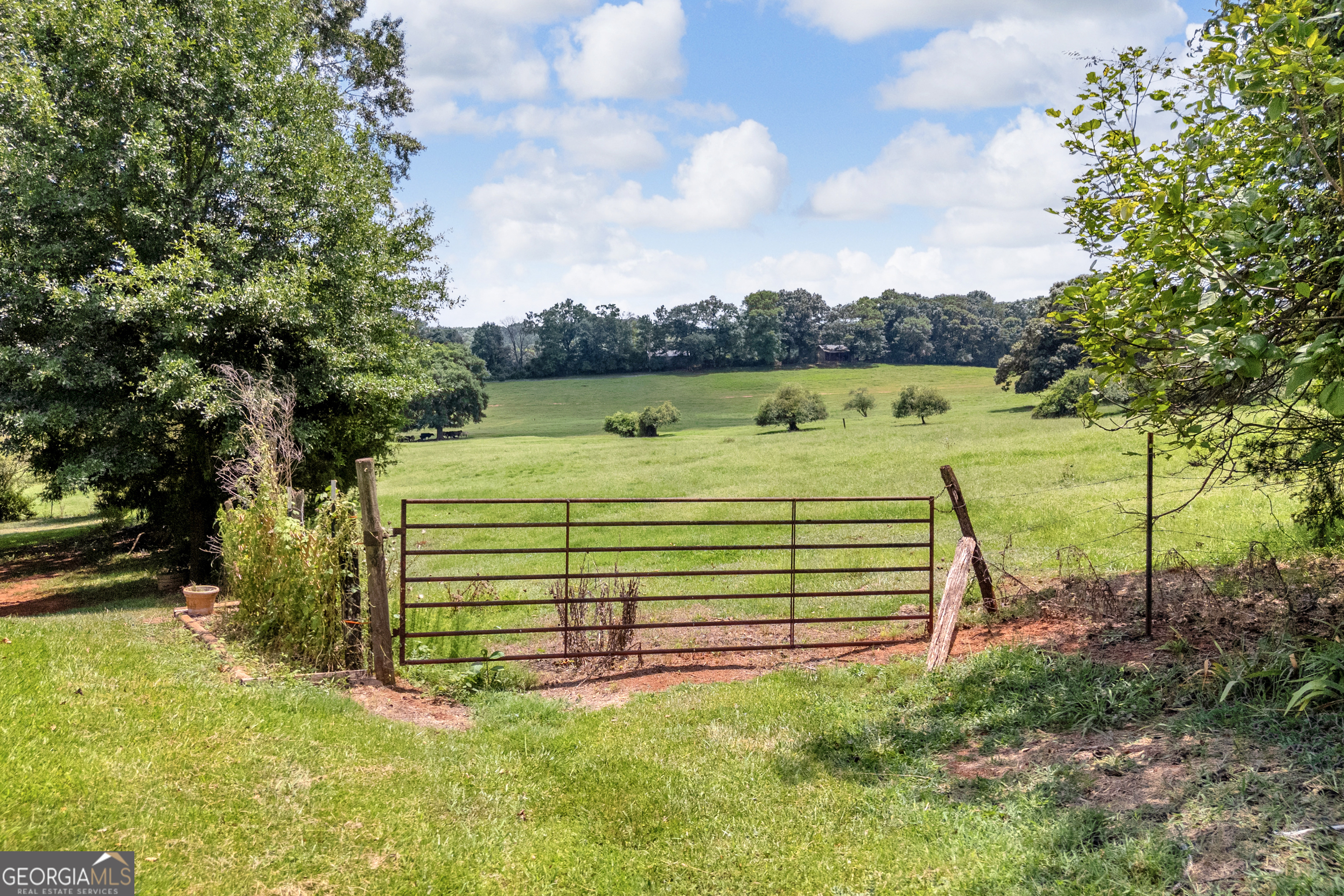 6091 Stone Bridge Road Carnesville, GA 30521 - Photo 40 of 47