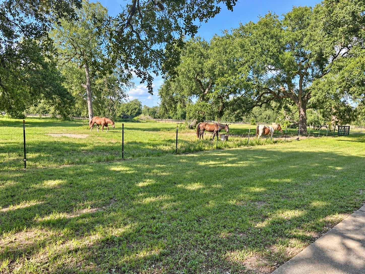 6510 FM 3012 Road Wharton, TX 77488 - Photo 6 of 45 Gallery Image 6