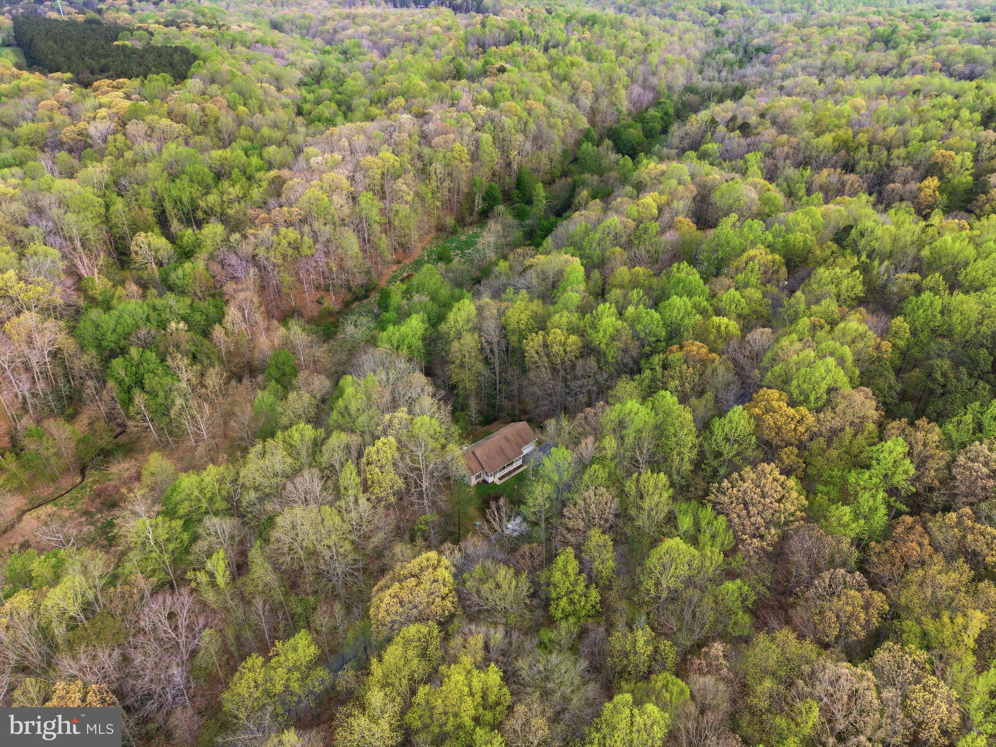 405 Ball Road St. Leonard, MD 20685 - Photo 38 of 39