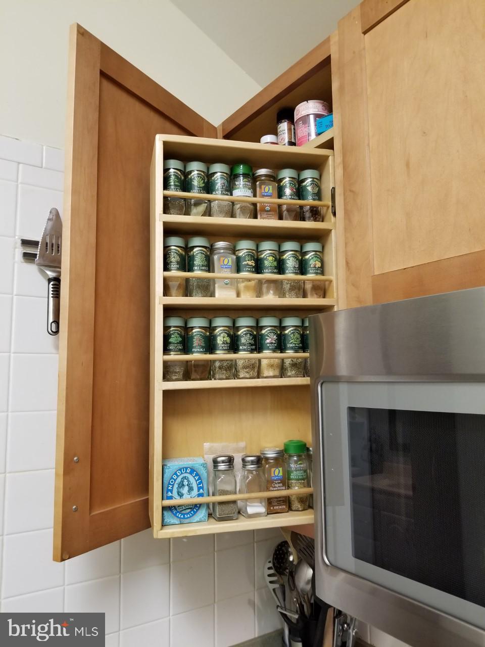 14132-0 Rover Mill Road West Friendship, MD 21794 - Photo 15 of 53 Built in spice cabinet