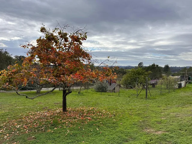 $1,475,000 | Amesti, Watsonville, CA 95076