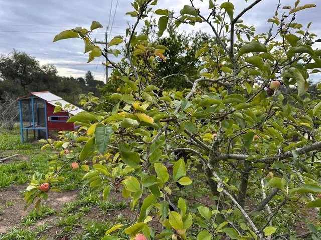 $1,475,000 | Amesti, Watsonville, CA 95076