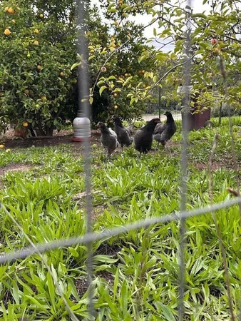 $1,425,000 | Amesti, Watsonville, CA 95076