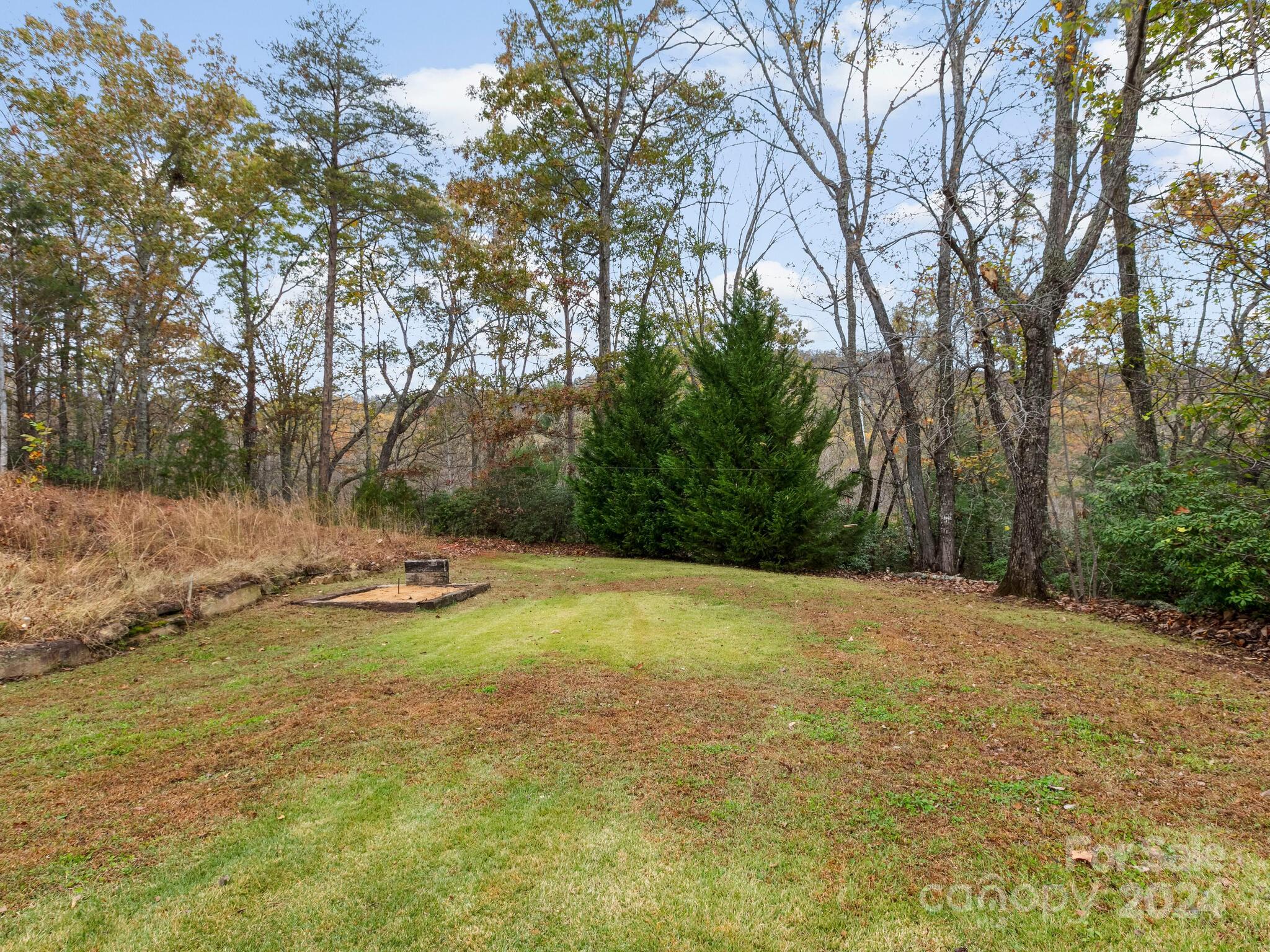 354 Nelons Road Mill Spring, NC 28756 - Photo 31 of 32 a view of a yard with a tree