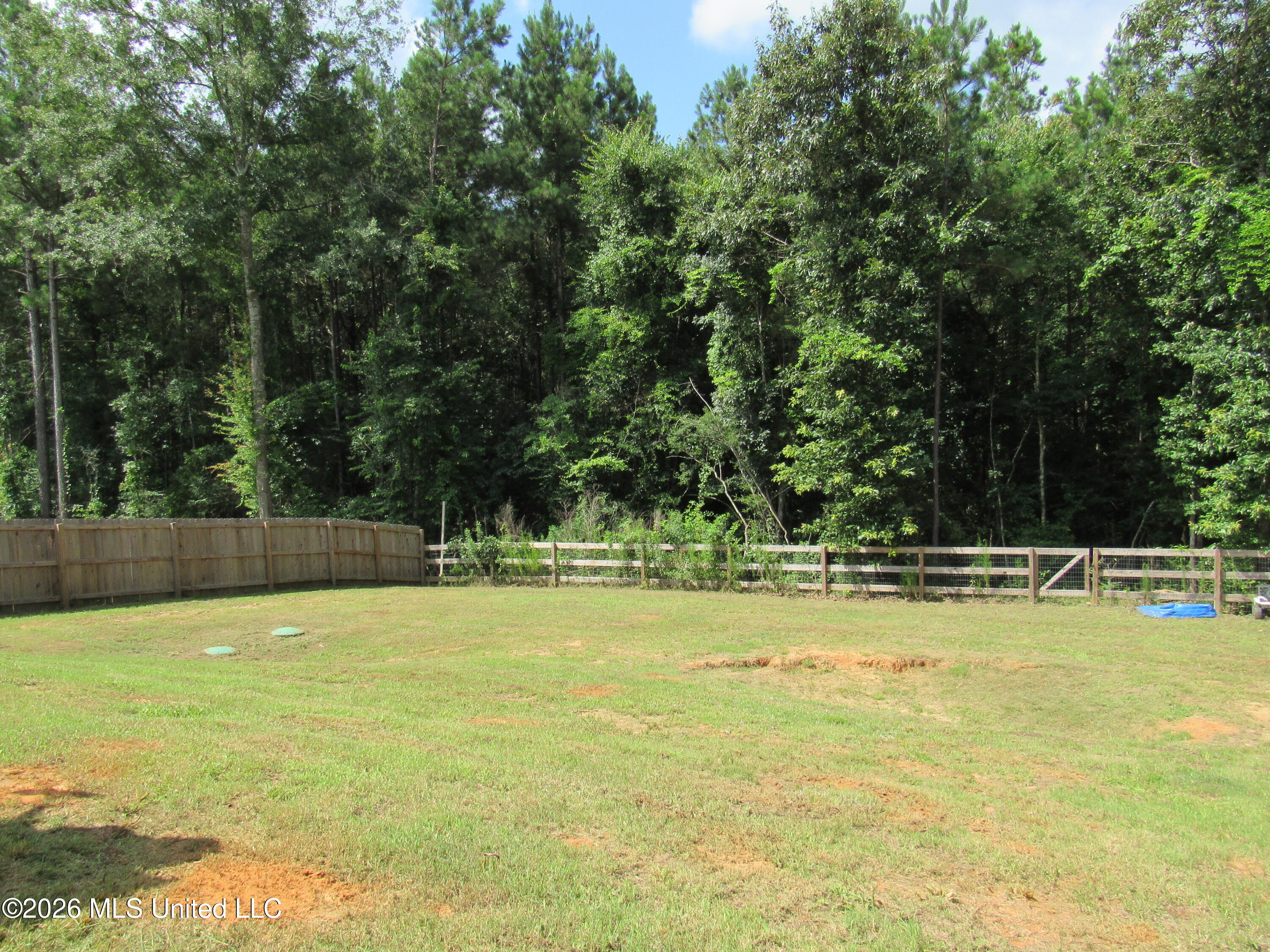 307 Anse Reed Road Magee, MS 39111 - Photo 4 of 14 IMG_0189