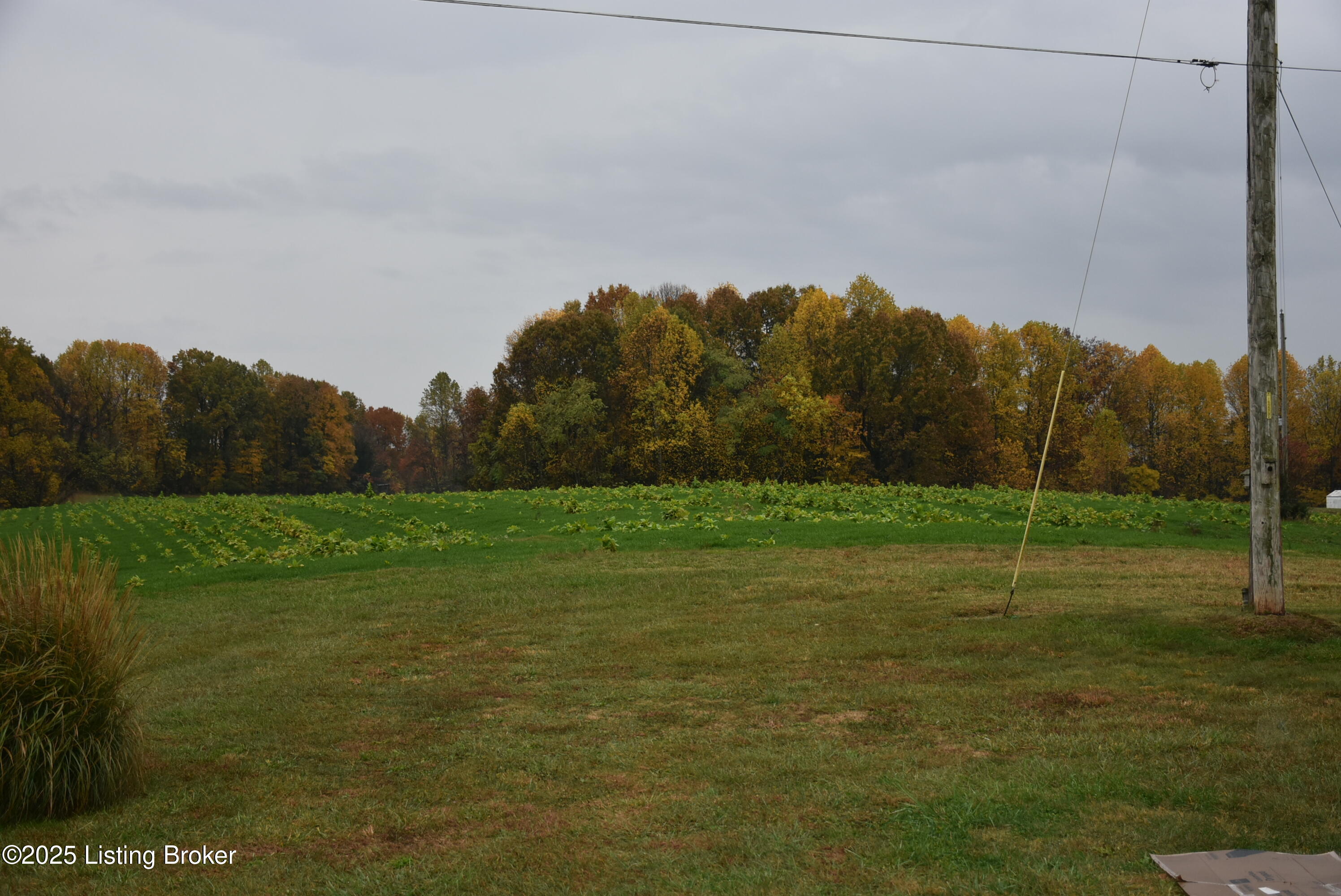 2805 Columbia Road Edmonton, KY 42129 - Photo 35 of 57 DSC_0260