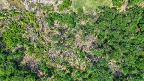 $4,590,000 | 455 West St Weston Tx 75009, Celina, TX 75009