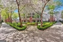a view of a garden with large trees