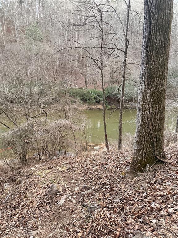 0 Shady Grove Church Road Talking Rock, GA 30175 - Photo 11 of 15