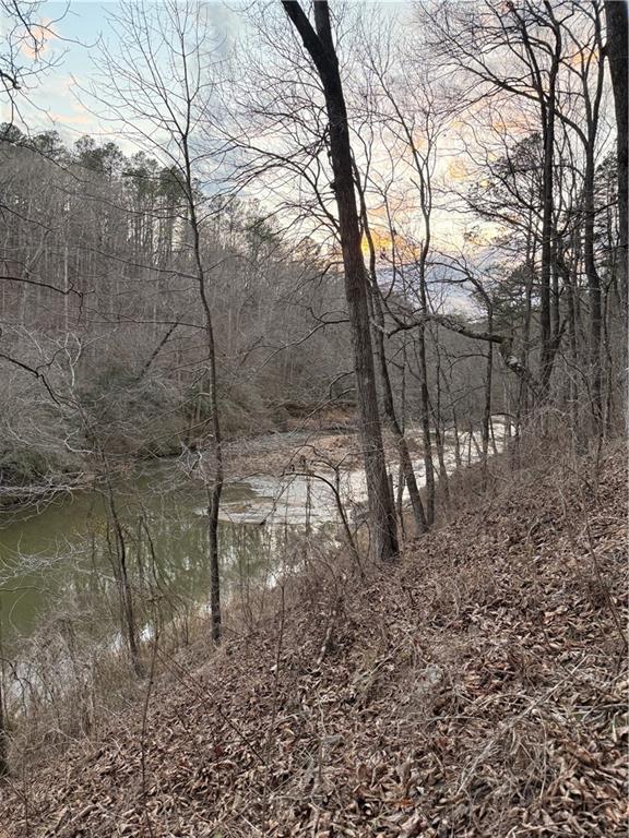 0 Shady Grove Church Road Talking Rock, GA 30175 - Photo 12 of 15