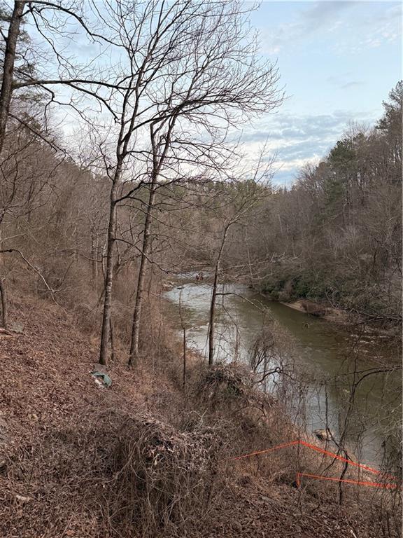 0 Shady Grove Church Road Talking Rock, GA 30175 - Photo 13 of 15