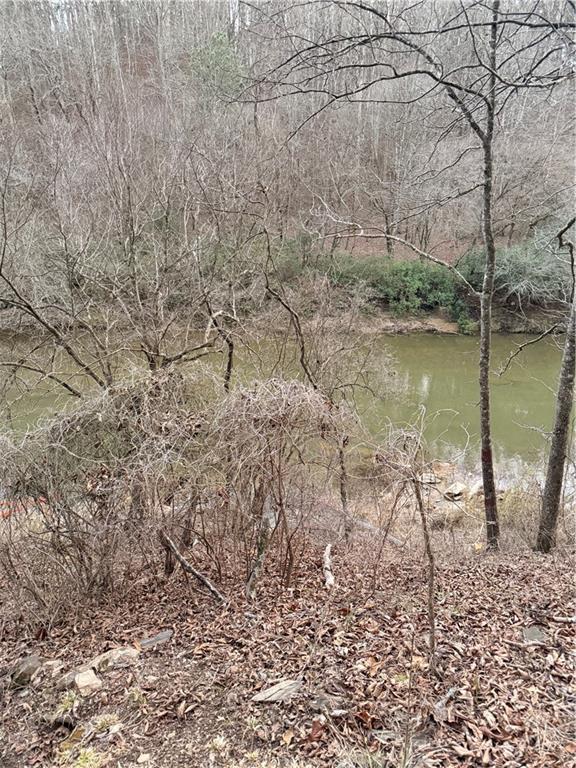 0 Shady Grove Church Road Talking Rock, GA 30175 - Photo 14 of 15