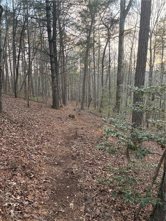 0 Shady Grove Church Road Talking Rock, GA 30175 - Photo 2 of 15
