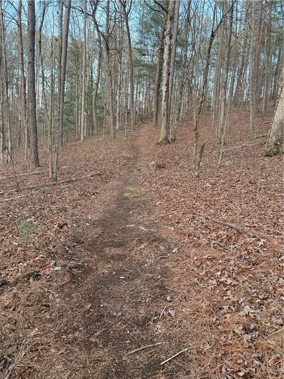 0 Shady Grove Church Road Talking Rock, GA 30175 - Photo 3 of 15