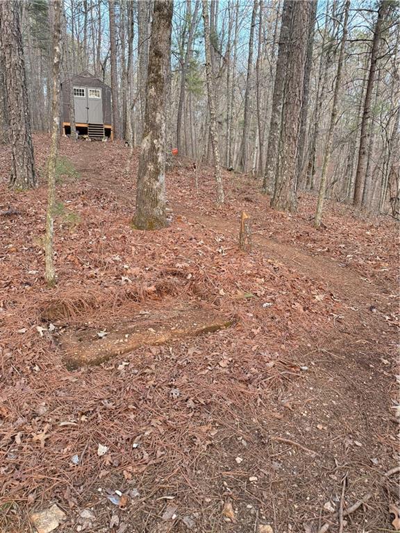 0 Shady Grove Church Road Talking Rock, GA 30175 - Photo 5 of 15