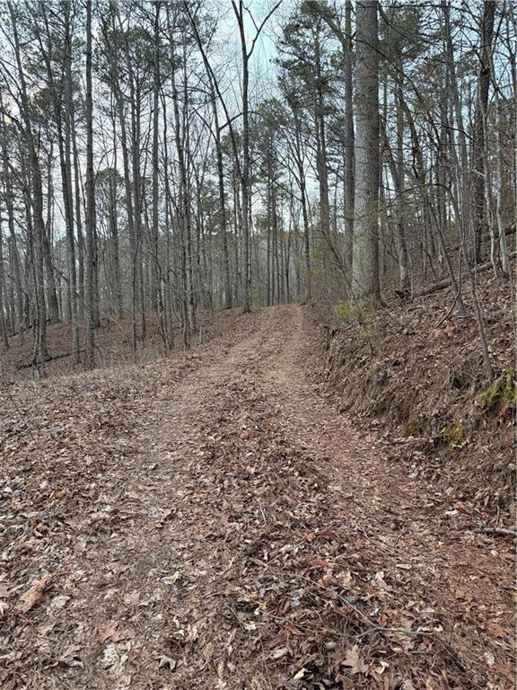 0 Shady Grove Church Road Talking Rock, GA 30175 - Photo 7 of 15