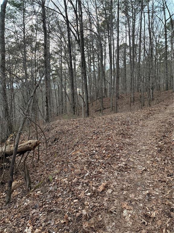 0 Shady Grove Church Road Talking Rock, GA 30175 - Photo 8 of 15