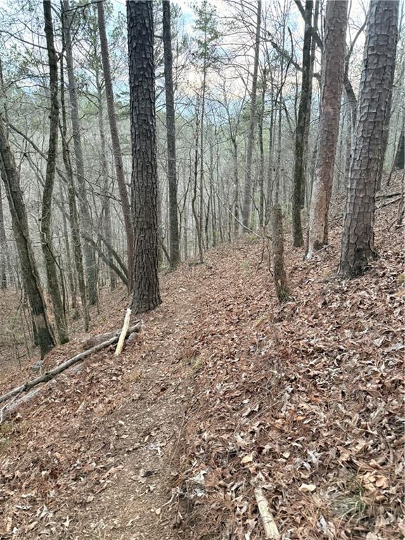 0 Shady Grove Church Road Talking Rock, GA 30175 - Photo 9 of 15