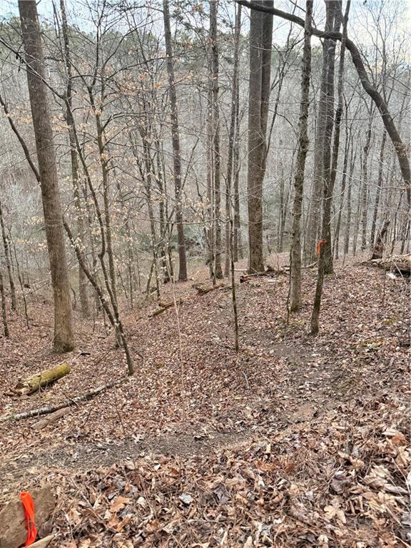 0 Shady Grove Church Road Talking Rock, GA 30175 - Photo 10 of 15