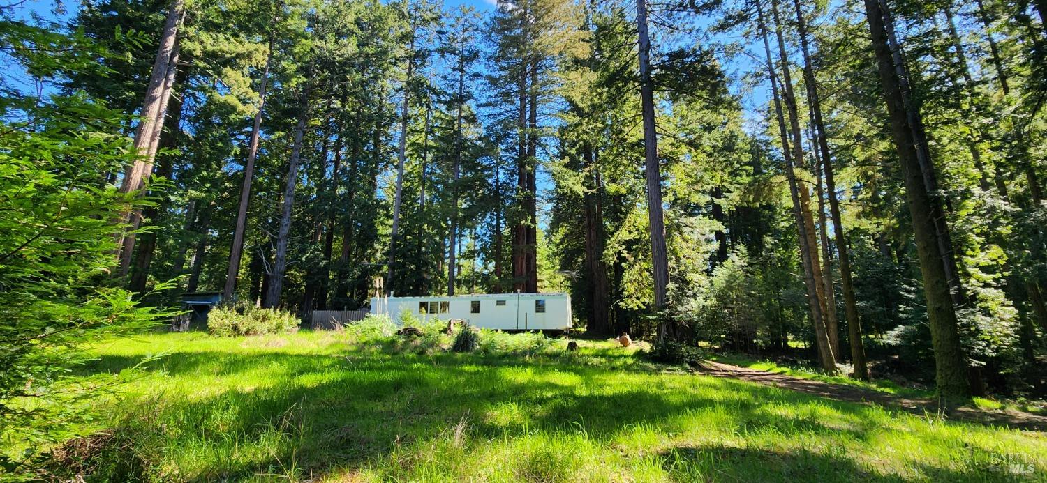 46480 Fish Rock Road Gualala, CA 95445 - Photo 1 of 1 a view of green field