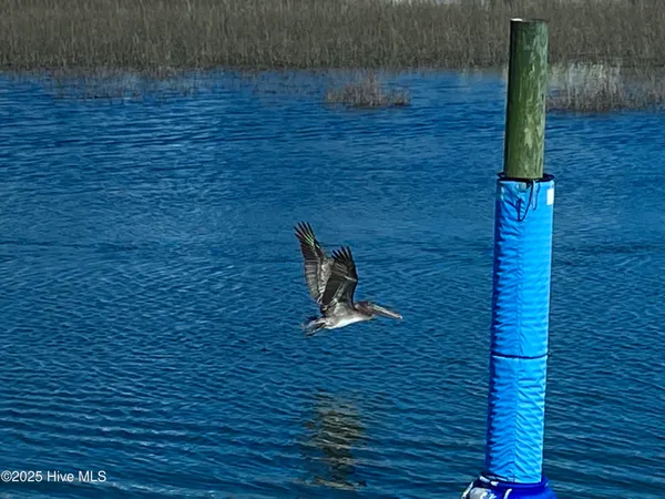 $1,999 | 1207 Windy Grove Lane Southwest, Ocean Isle Beach, NC 28469