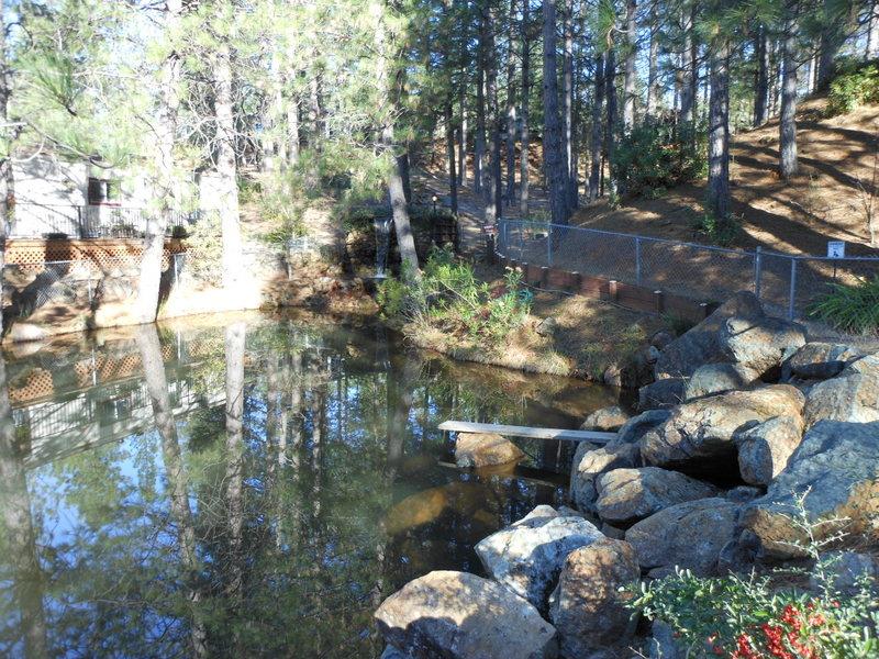 10073 Dalewood Way Grass Valley, CA 95949 - Photo 26 of 34