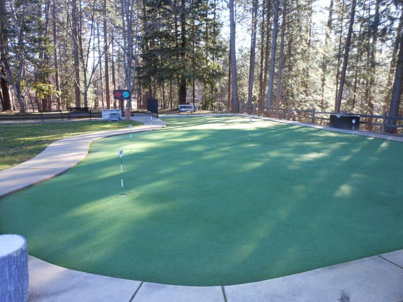 10073 Dalewood Way Grass Valley, CA 95949 - Photo 29 of 34 a backyard of a house with lots of green space and outdoor seating