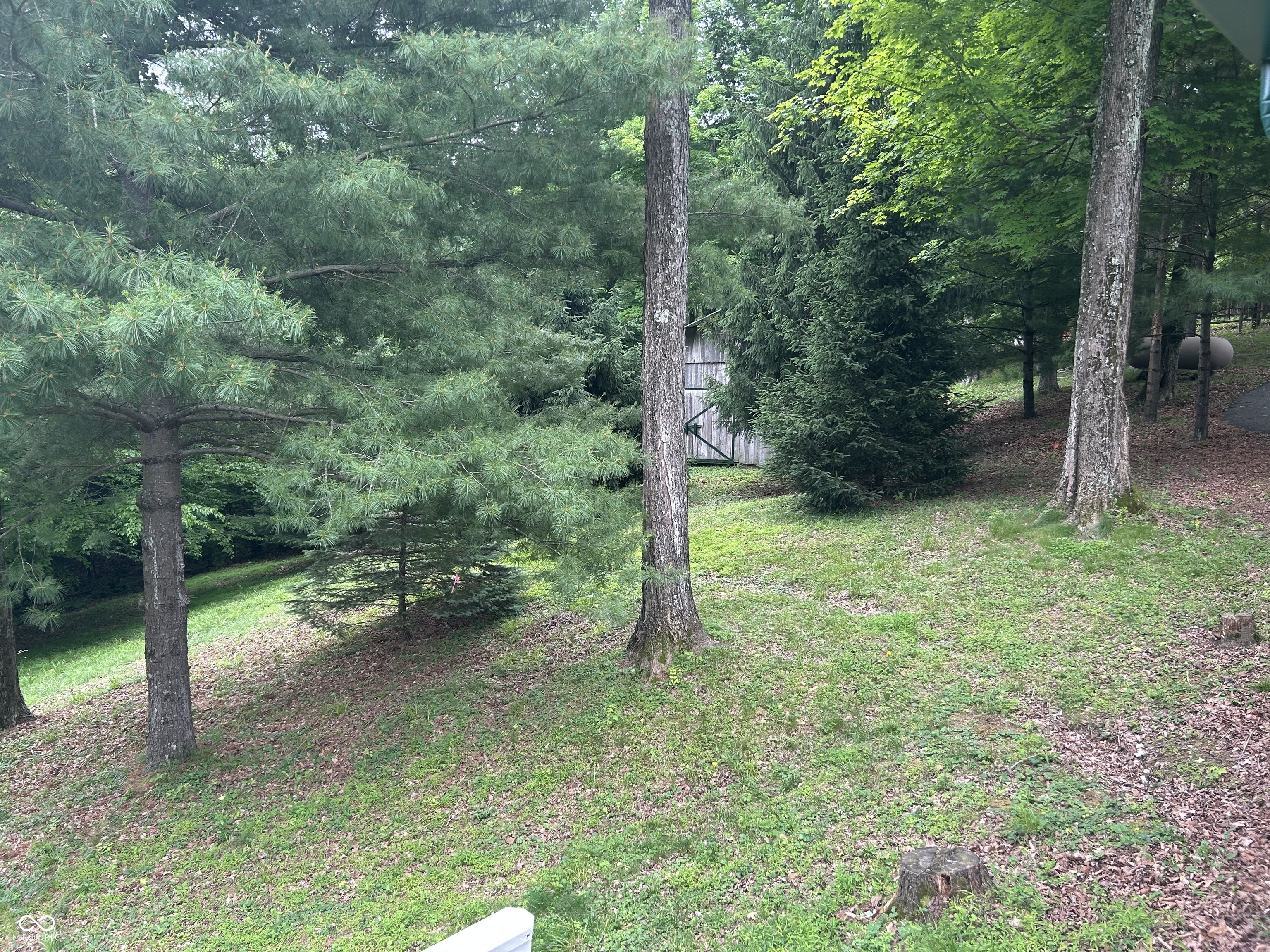 7680 Beech Tree Road Nineveh, IN 46164 - Photo 19 of 23