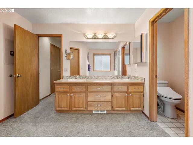 a bathroom with a sink a toilet and a mirror