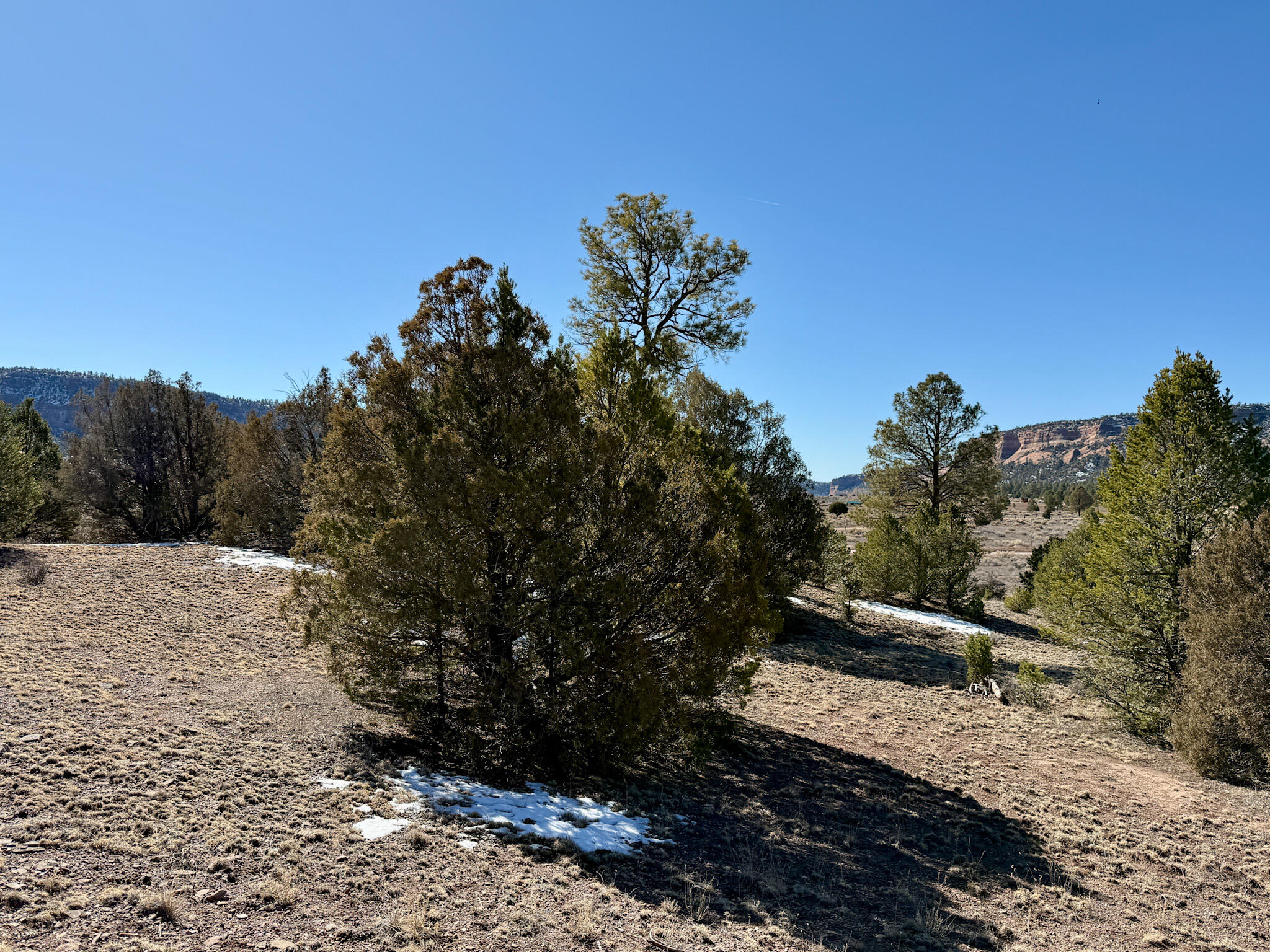 700 Timberlake Road Ramah, NM 87321 - Photo 40 of 78 Gallery Image 40
