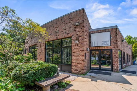 a park view with potted plants and large trees