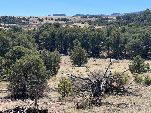 3 B Majors Ranch Road Walsenburg, CO 81089 - Photo 38 of 54