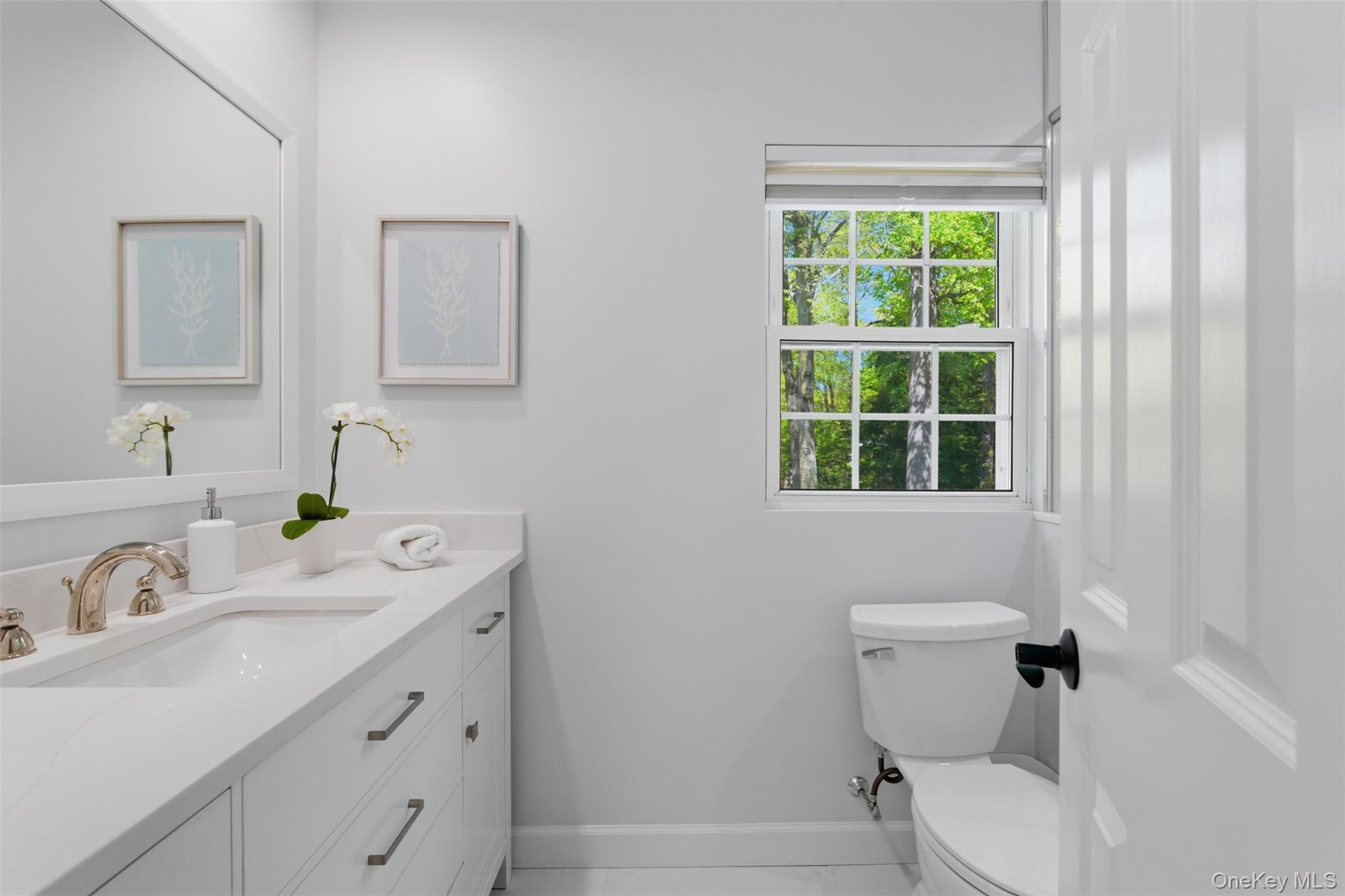 136 Devonshire Road Larchmont, NY 10538 - Photo 17 of 34 a bathroom with a toilet sink and mirror