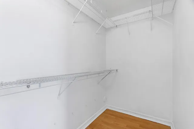 a view of a lake with a yard and large trees