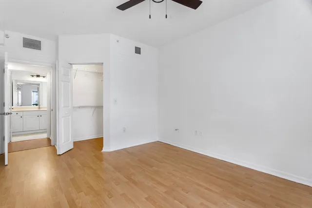 a view of a park with palm trees