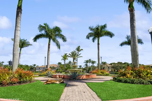 a view of a park with palm trees
