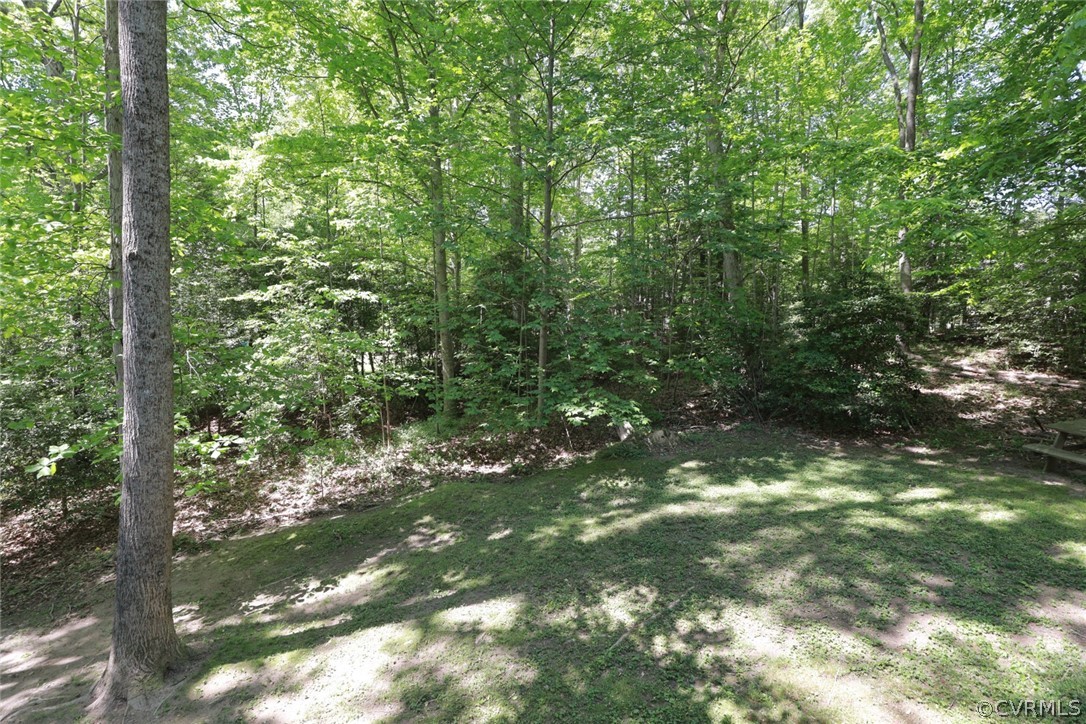 4902 Logswood Road Chesterfield, VA 23832 - Photo 49 of 50