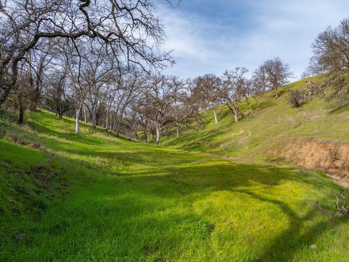 22560 Adobe Road Red Bluff, CA 96080 - Photo 47 of 49 a view of a big yard with swimming pool and green space