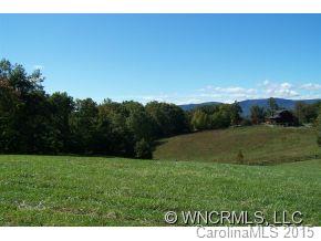 160 Little Farm Ln Mill Spring Mill Spring, NC 28756 - Photo 17 of 24 Gallery Image 17