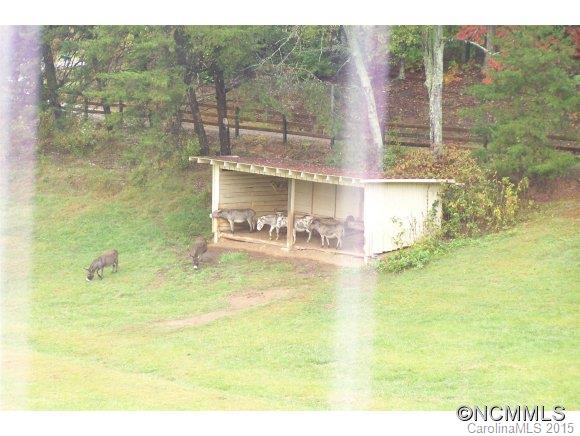 160 Little Farm Ln Mill Spring Mill Spring, NC 28756 - Photo 24 of 24 Gallery Image 24