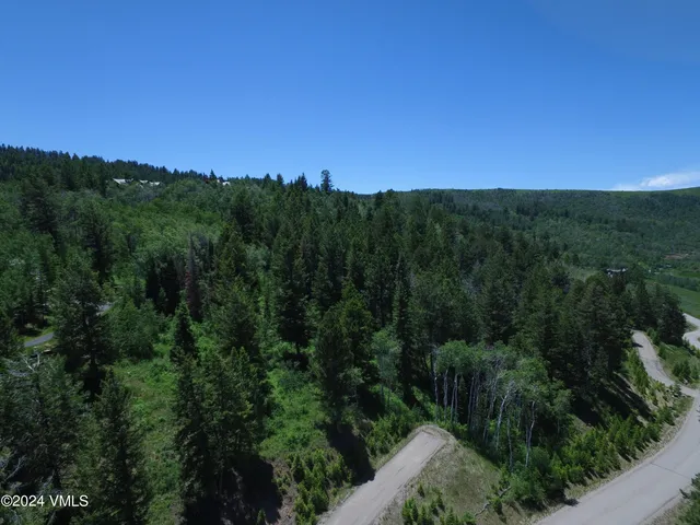 a view of a city with lush green forest