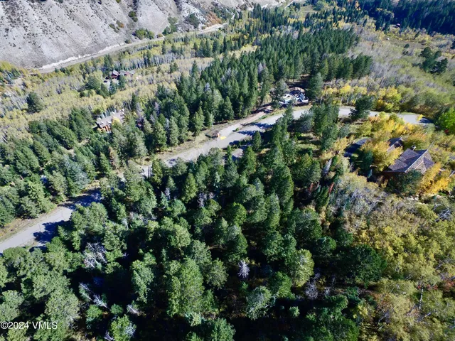 a view of a garden with plants