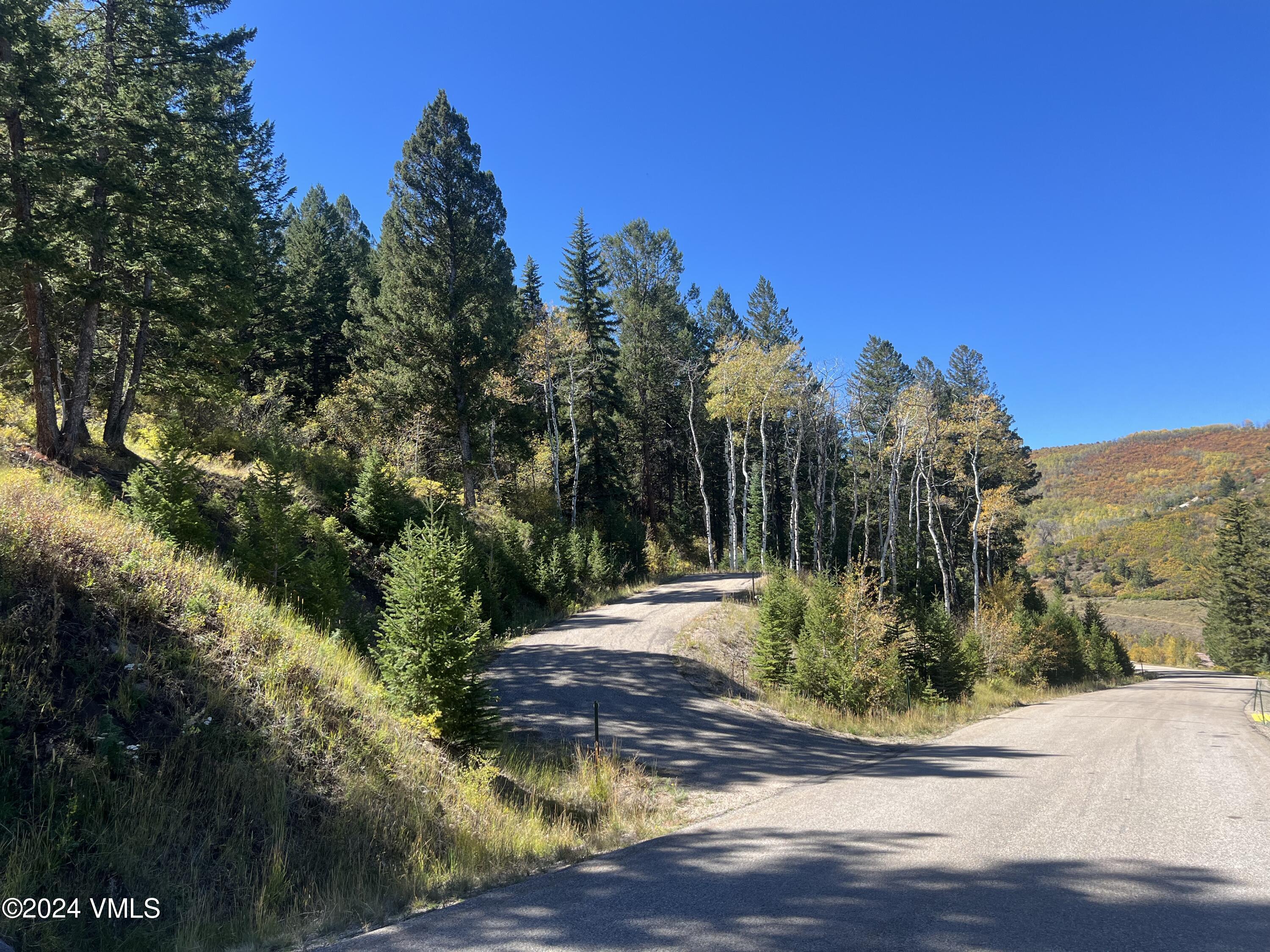 176 Sunquist Road Edwards, CO 81632 - Photo 4 of 20 176 Sunquist 4