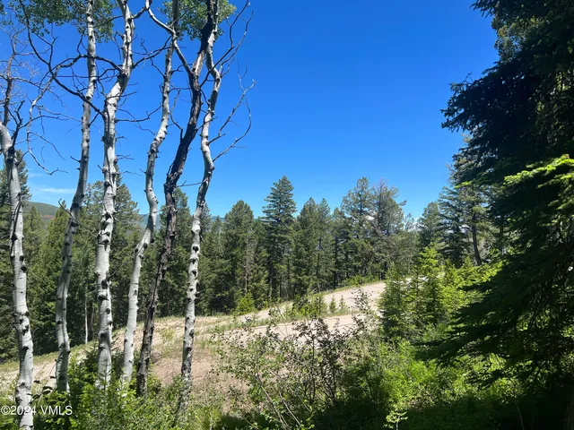 a view of a forest of a house